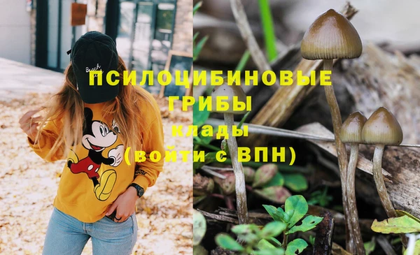 прущая мука Армянск