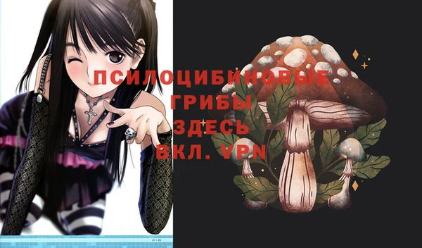 прущая мука Армянск
