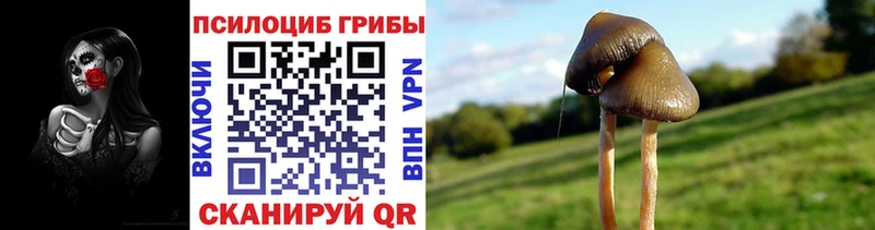 продажа наркотиков  Циолковский  Галлюциногенные грибы Magic Shrooms 