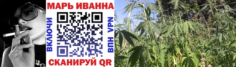 МАРИХУАНА сатива Циолковский